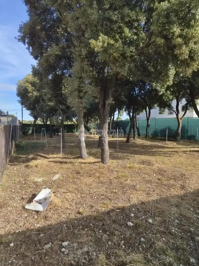Terrain résidentiel à vendre à Trijueque