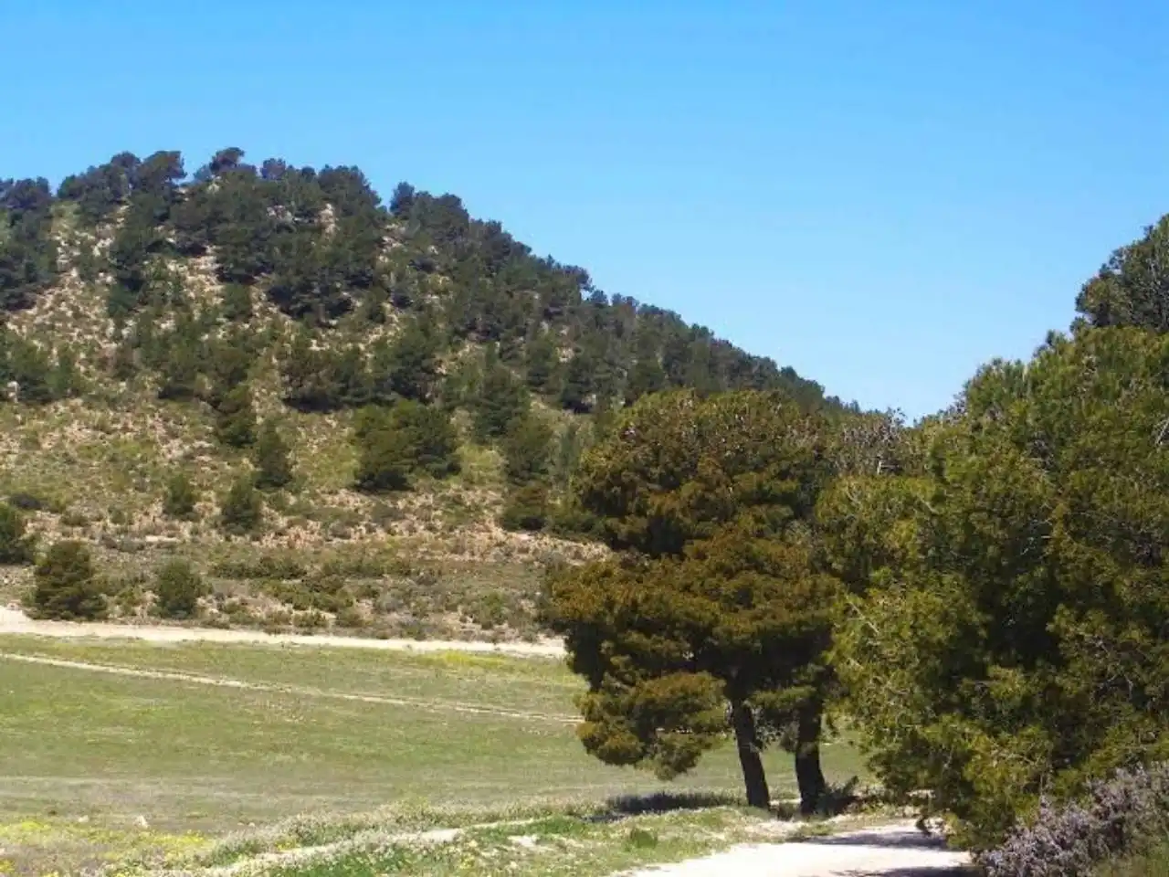Terrains et parcelles à vendre à Pedanías Norte, imagen 30
