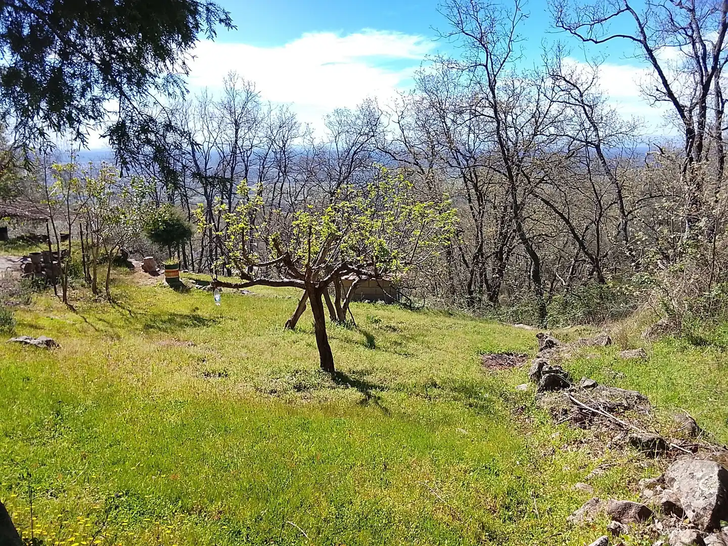 Terreni e lotti in vendita a Candeleda, imagen 57