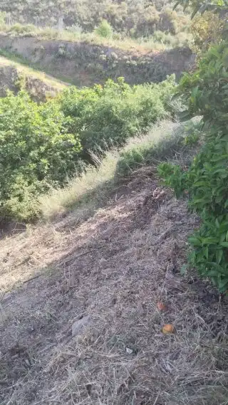 Terreno rustico in vendita a Plaza Andalucia, imagen 5