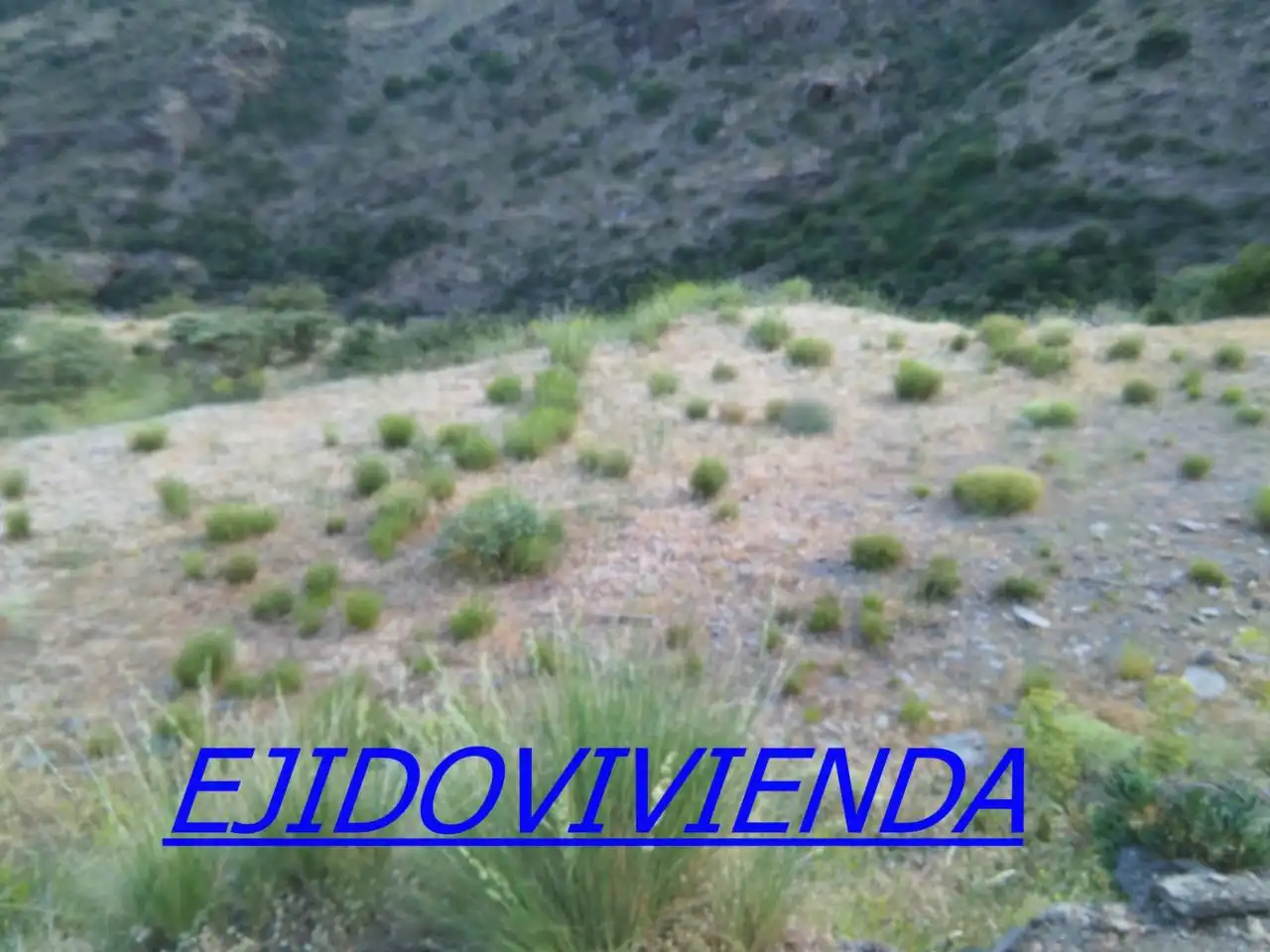 Terreni e lotti in vendita a Nevada, imagen 9