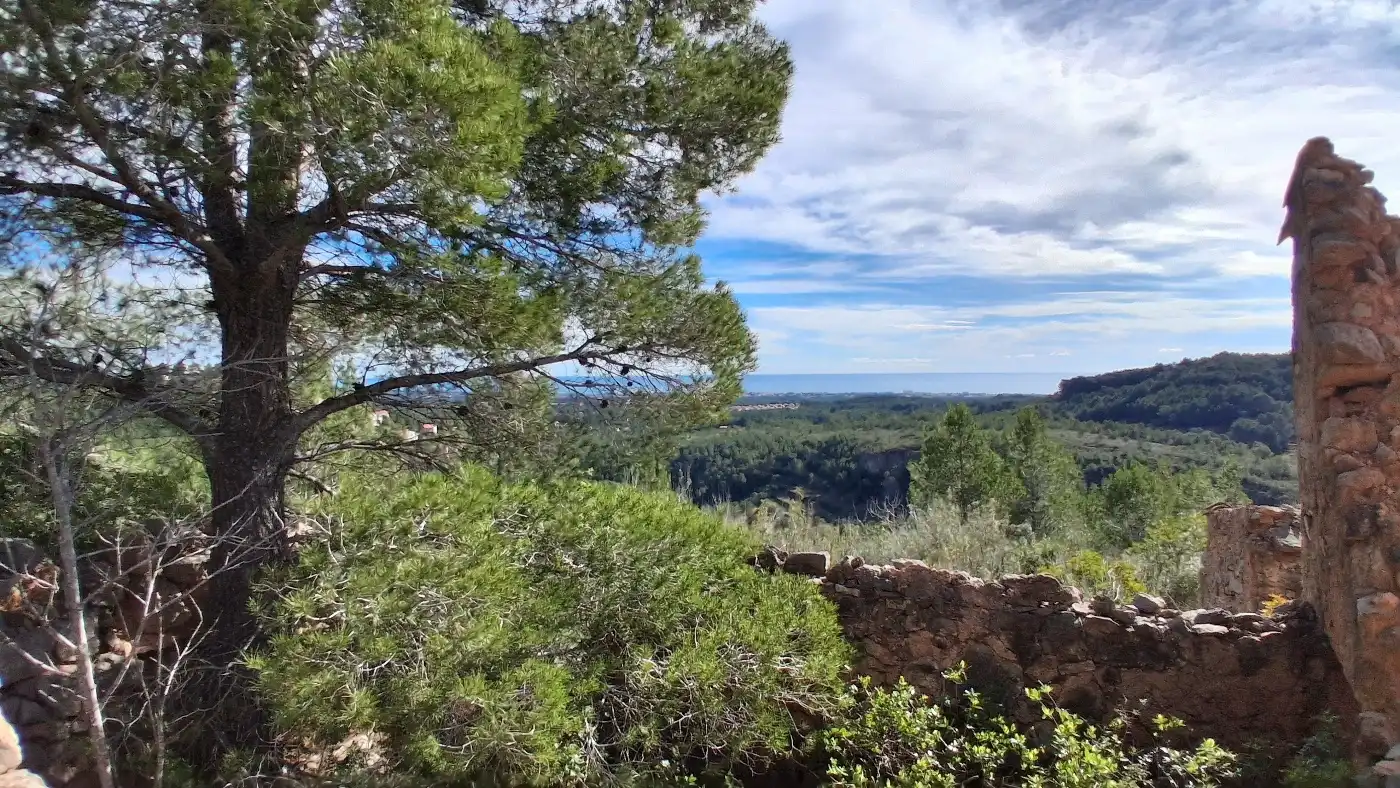 Vista exterior de Terreno en venta en Pratdip