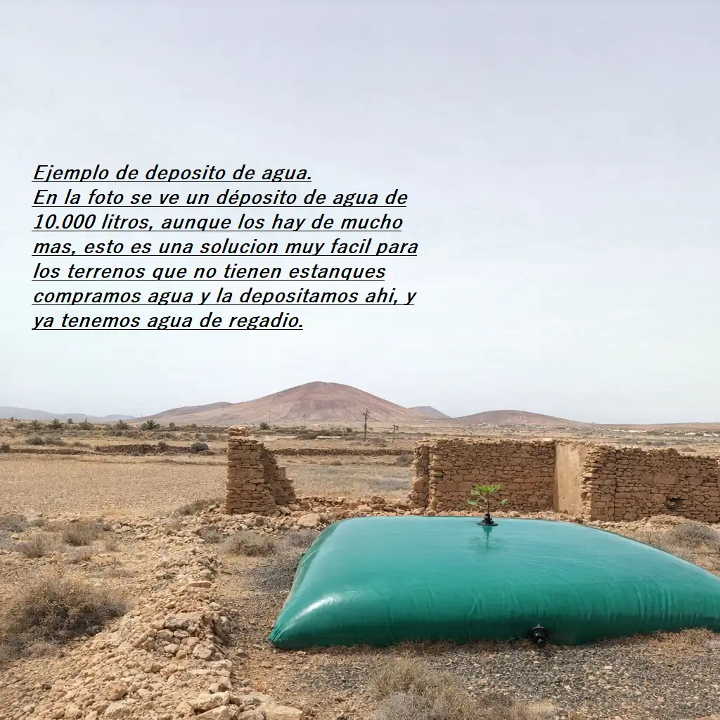 Jardín de Residencial en venta en Tuineje