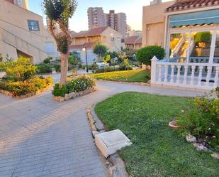Jardí de Estudi en venda en Benidorm amb Calefacció, Jardí privat i Terrassa