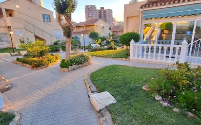 Jardí de Estudi en venda en Benidorm amb Calefacció, Jardí privat i Terrassa