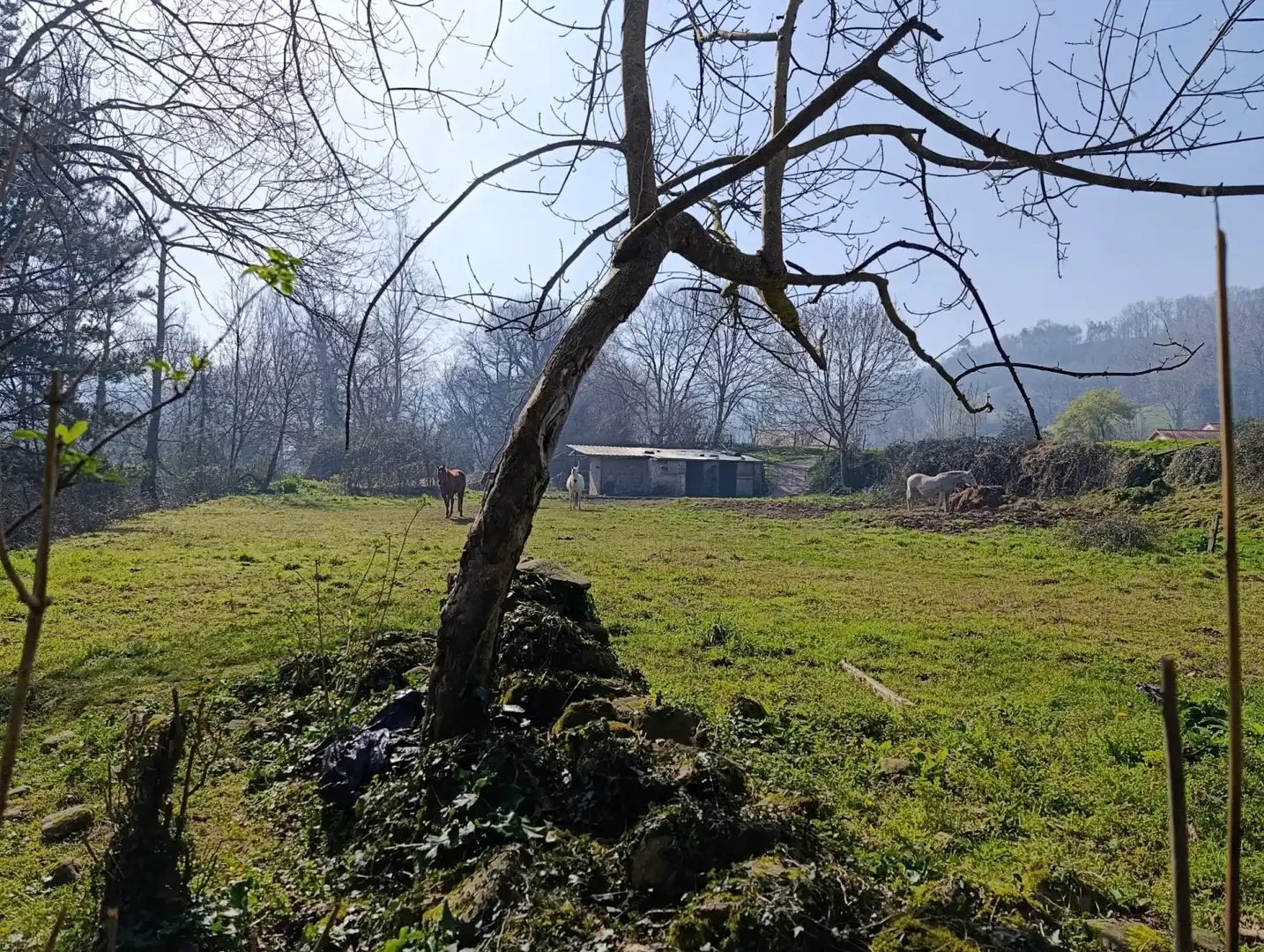 Terreni e lotti in vendita a Selaya - LA MIES, imagen 12