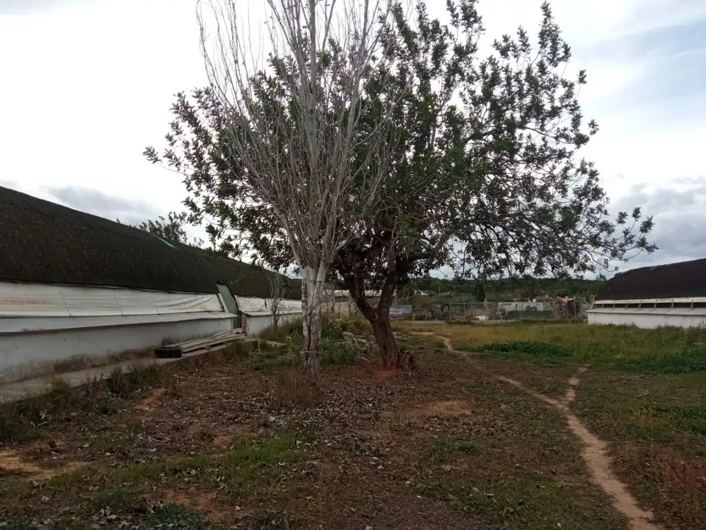 Residencial en venta en Llíria, Santa Bárbara