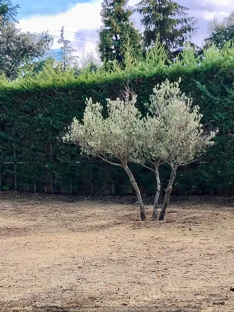 Jardí de Casa o xalet en venda en Navas de Riofrío amb Calefacció, Jardí privat i Traster