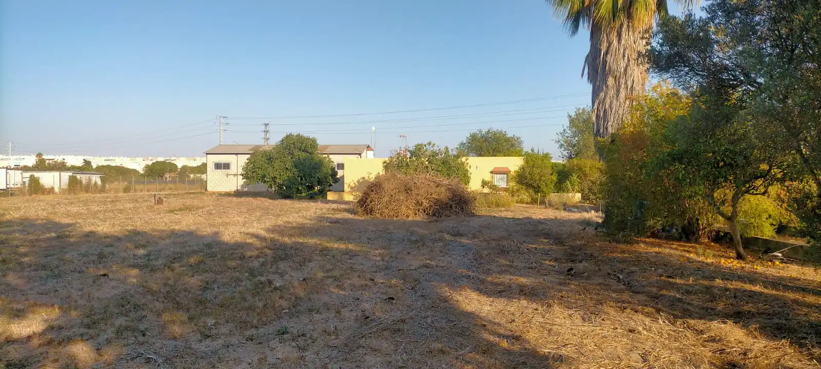 Rural land for sale in El Juncal - Vallealto, imagen 12