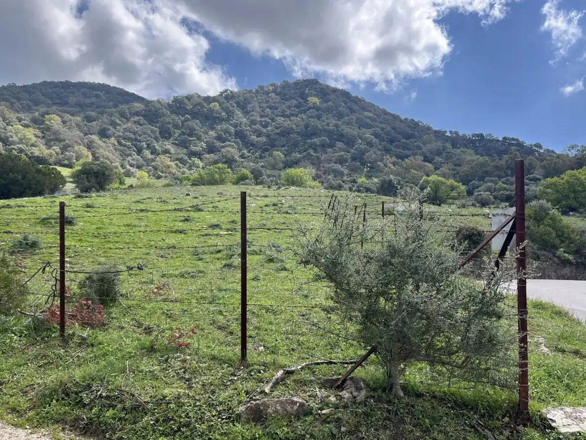 Casa rústica en venta en Cortes de la Frontera, imagen 7