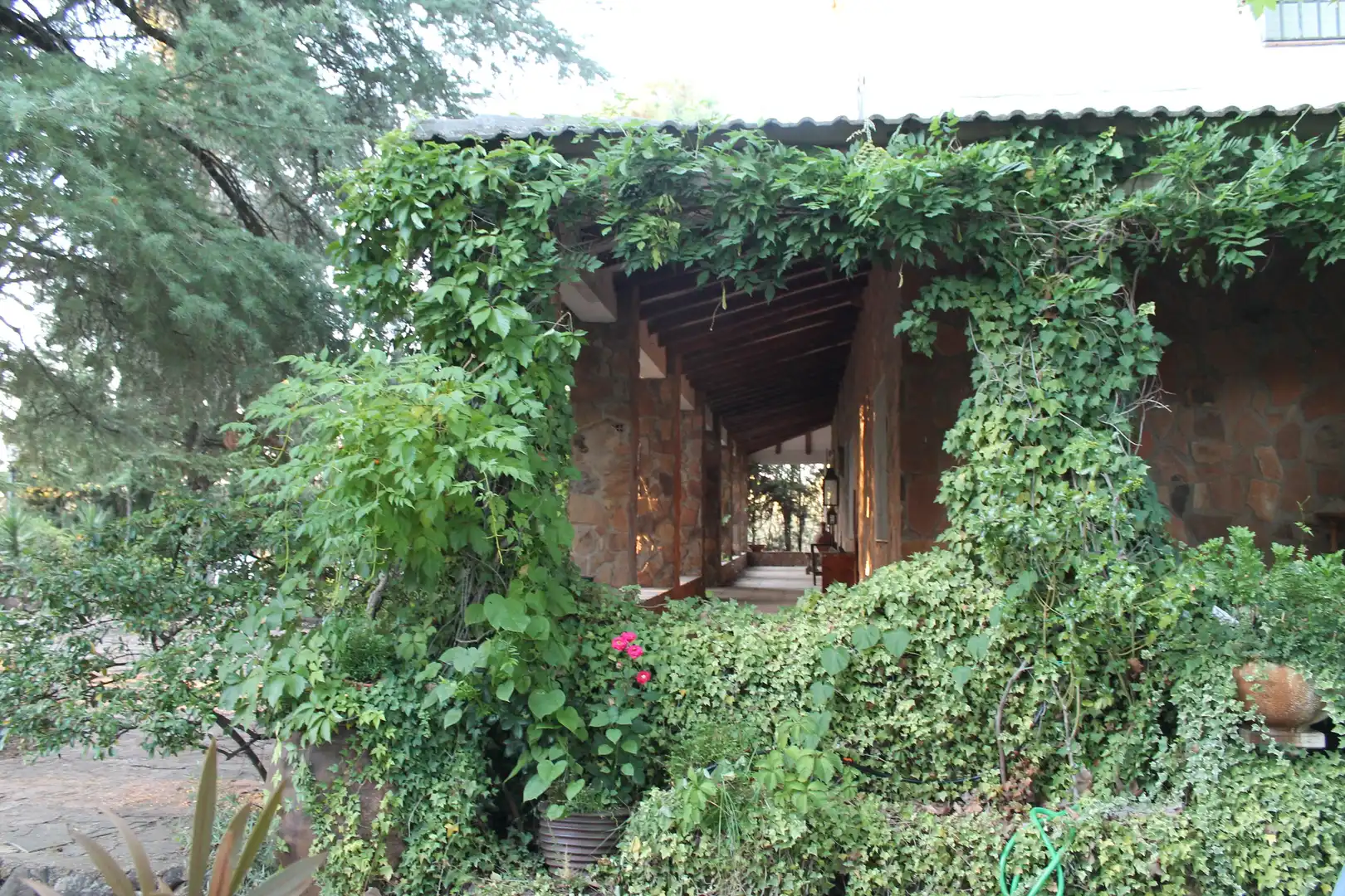 Villa mit Terrasse zum Verkauf in Barrio Yedra 0, imagen 6