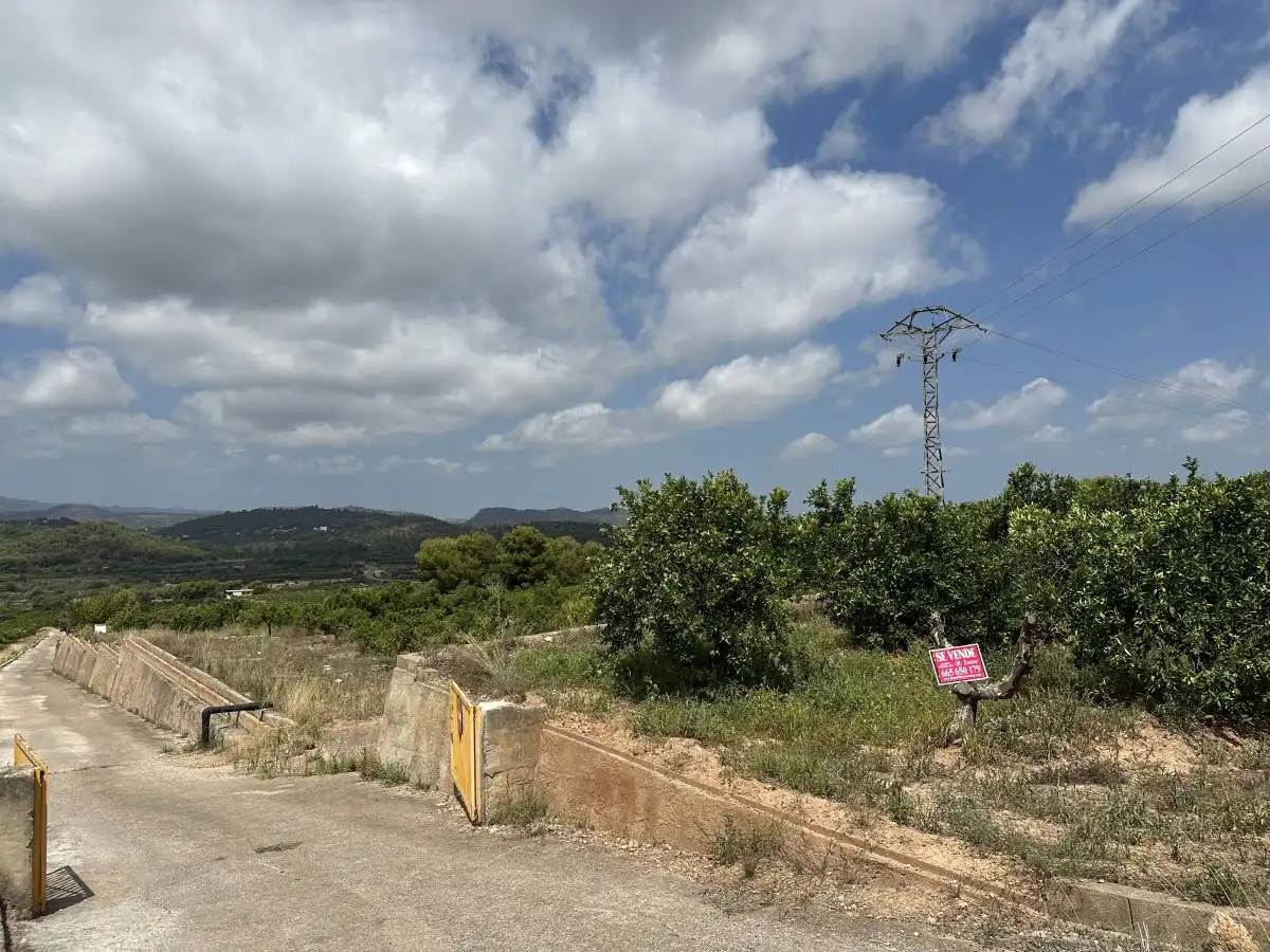 Rural land for sale in Sagunto ciudad, imagen 18