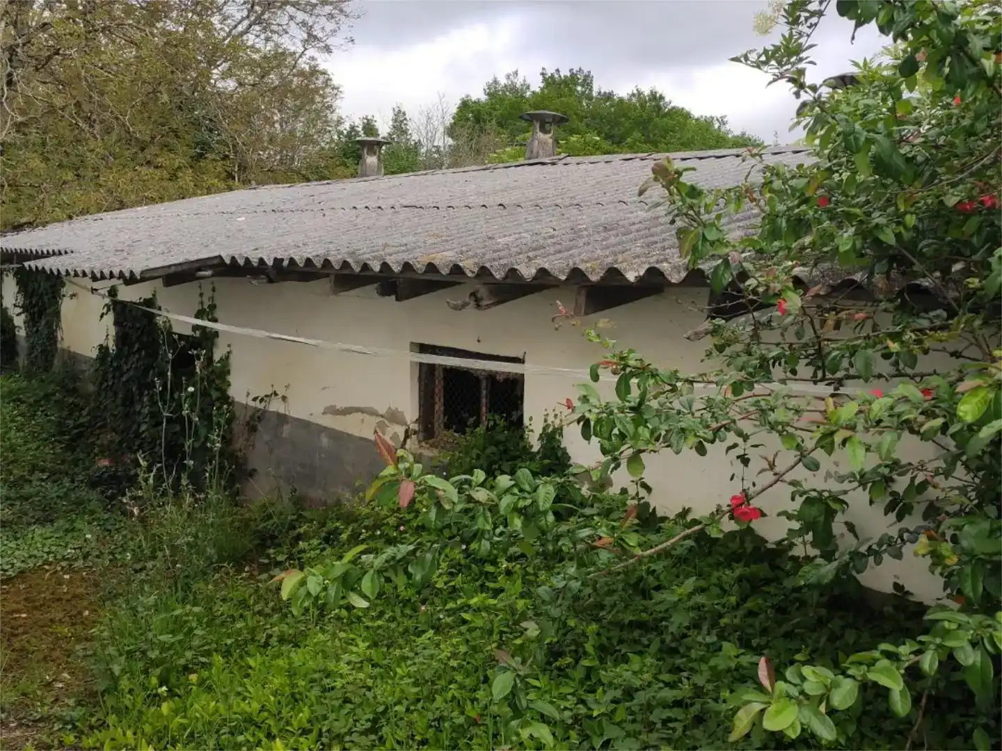 Vista exterior de Finca rústica en venda en Etxebarria 