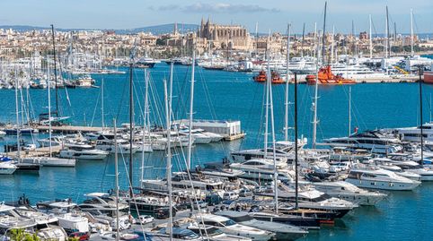 Photo 3 of Flat for sale in El Terreno, Palma de Mallorca