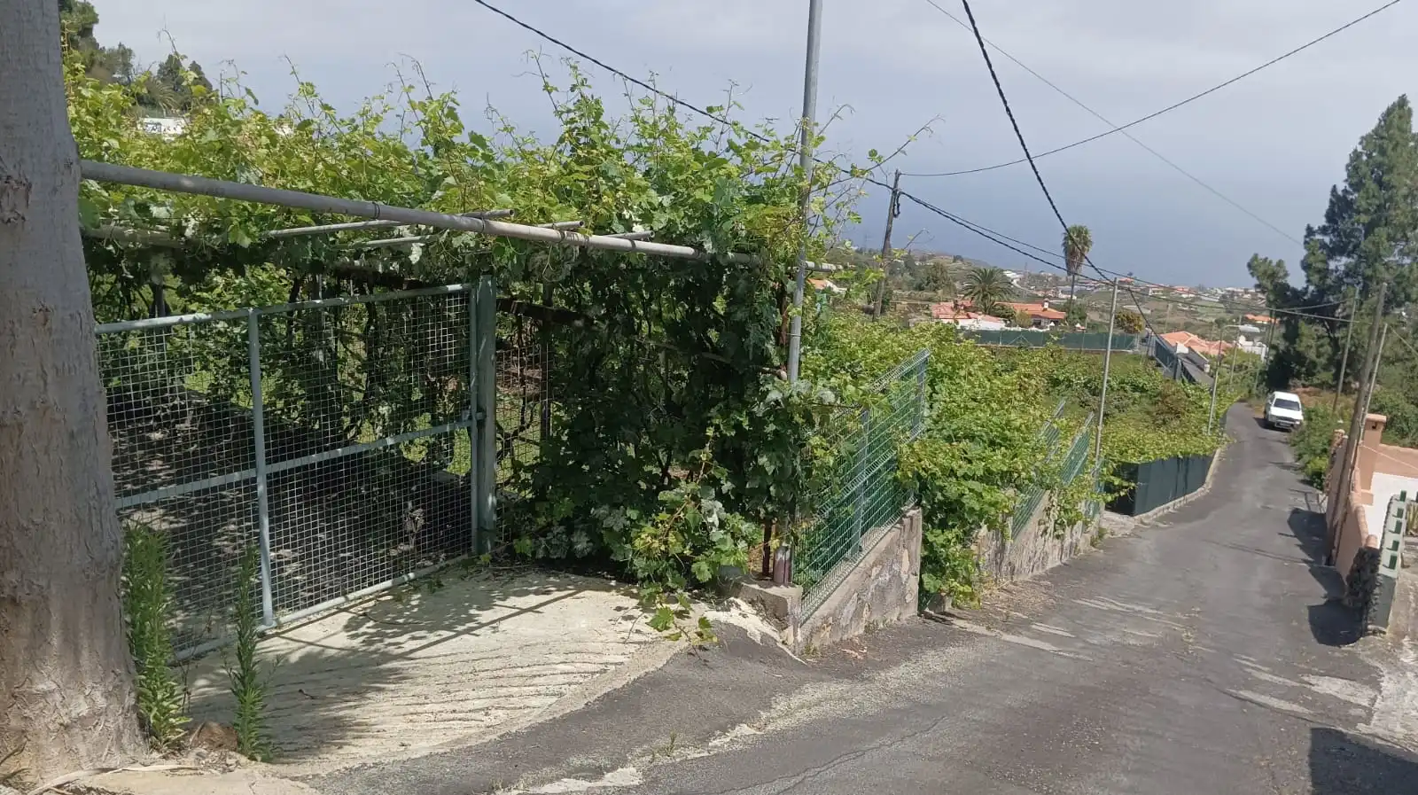 Maison avec terrasse à vendre à La Vega - El Amparo - Cueva del Viento, imagen 23