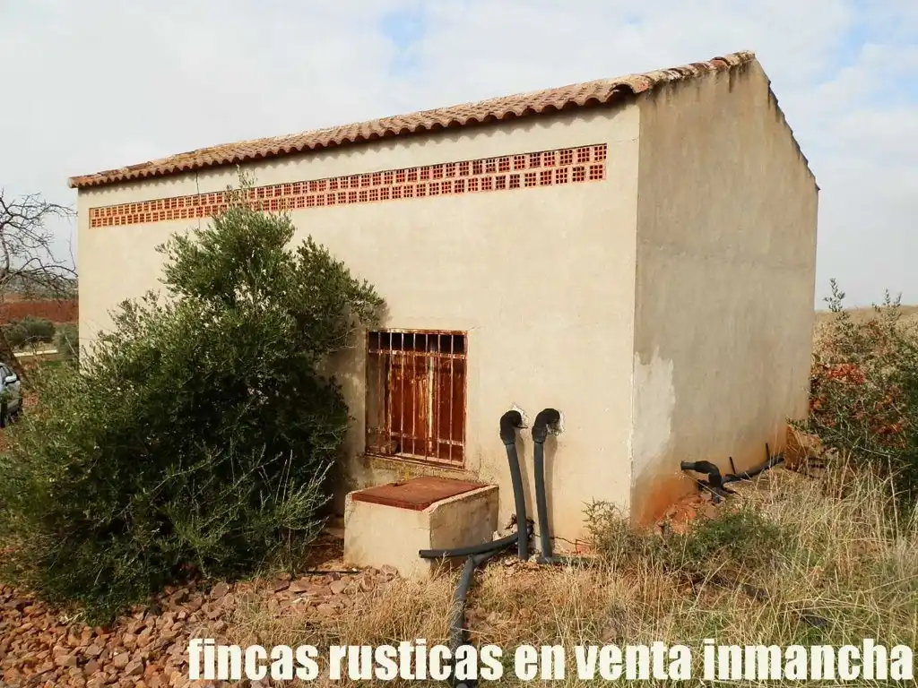 Rural land for sale in Valdepeñas, imagen 3