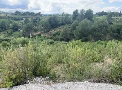 Rural land for sale in Pl Sc Masía Bach, imagen 6