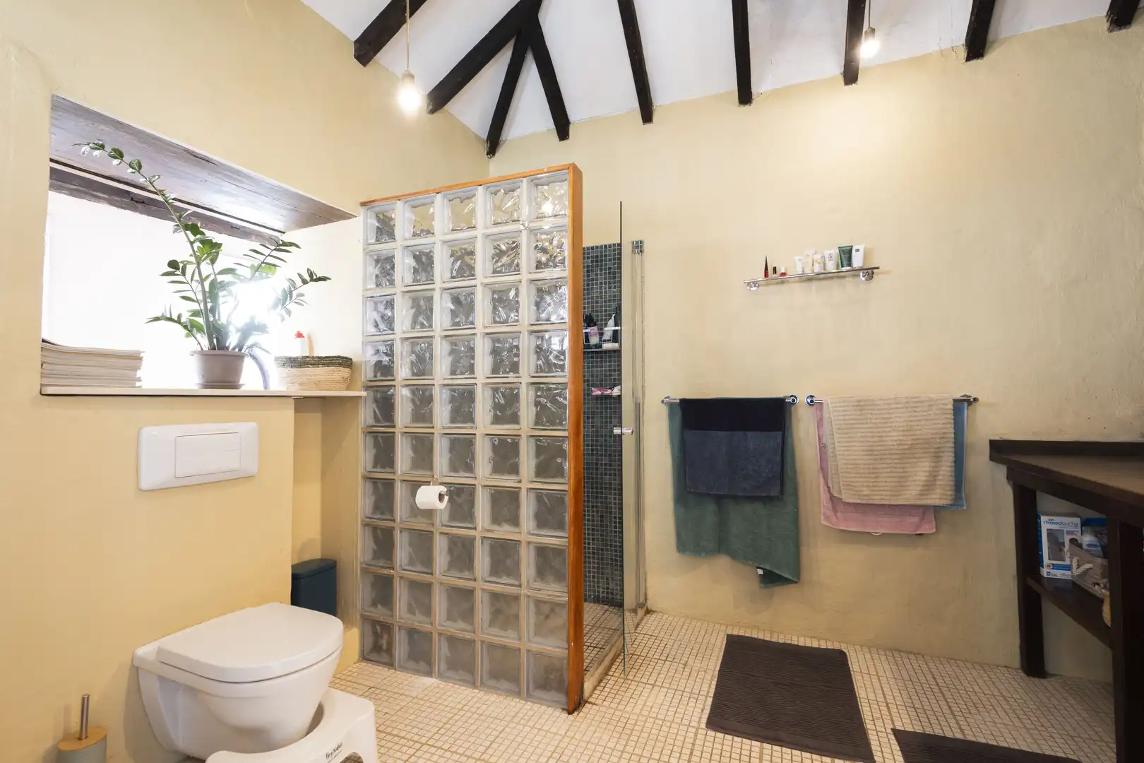 Bany de Casa o xalet en venda en Los Realejos amb Jardí privat, Terrassa i Traster