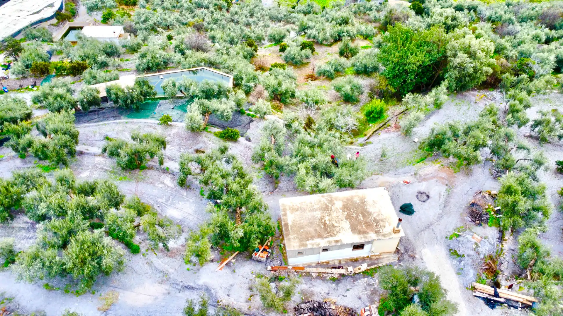 Terreni e lotti in vendita a Lugar Cortijo El Peñon, imagen 40