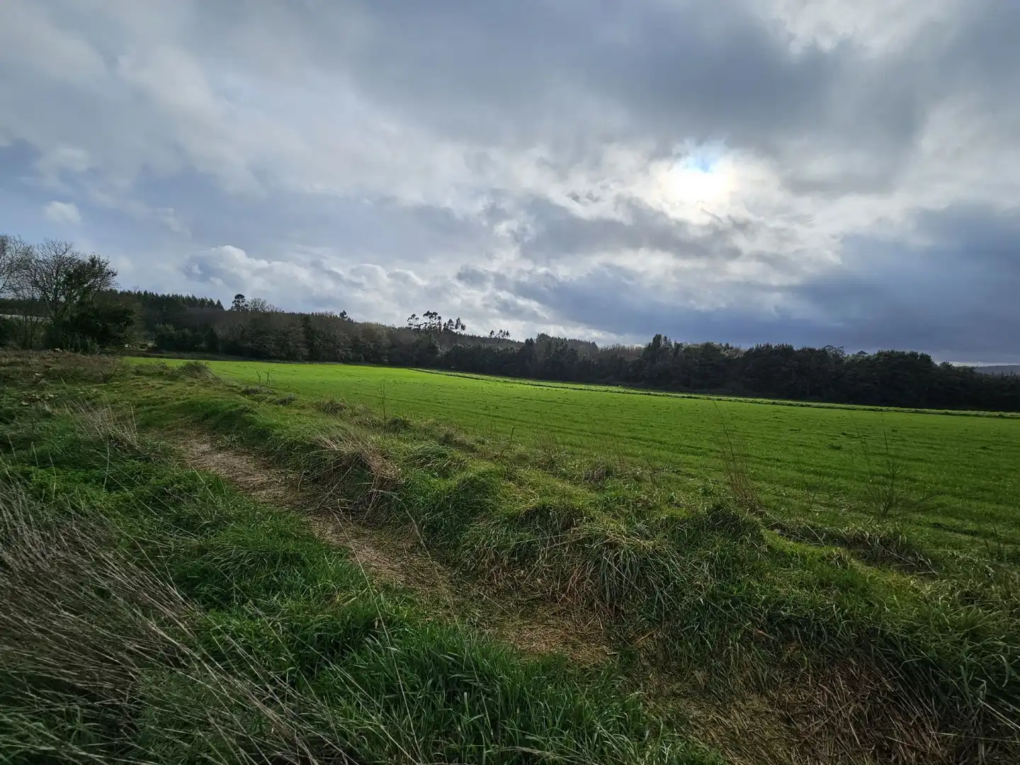 Finca rústica en venta en Abegondo