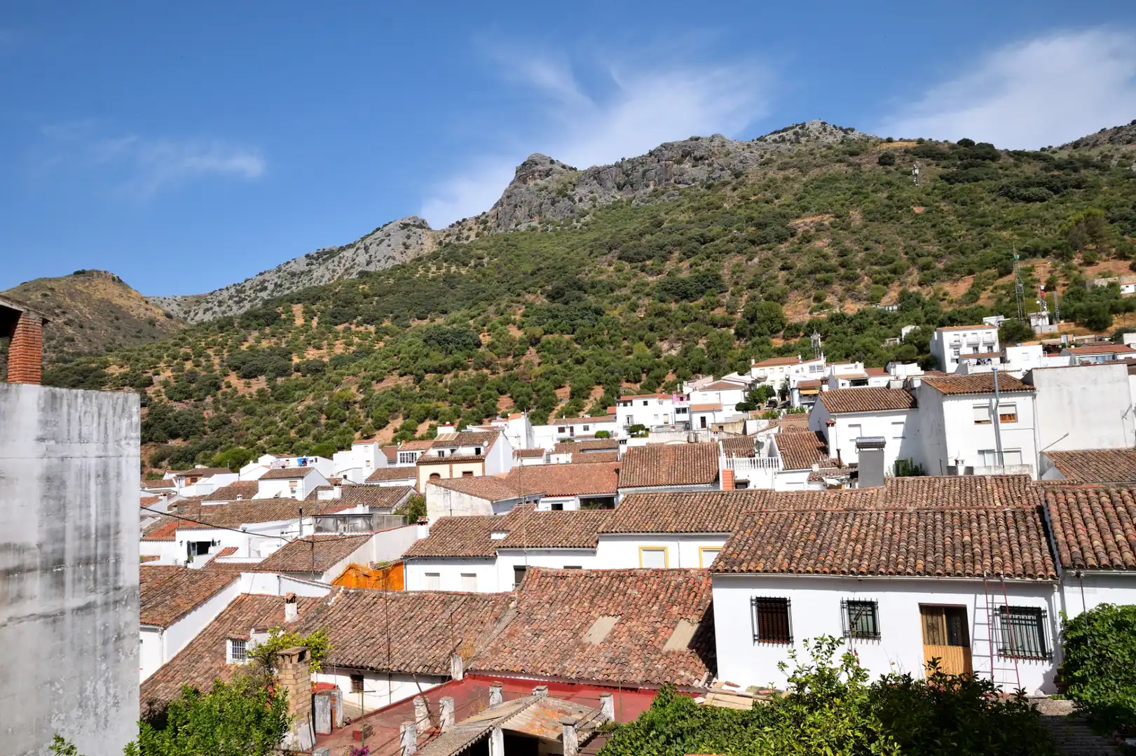 Exterior view of Detached homes for sale in Cortes de la Frontera  with Private garden, Terrace and Storage room