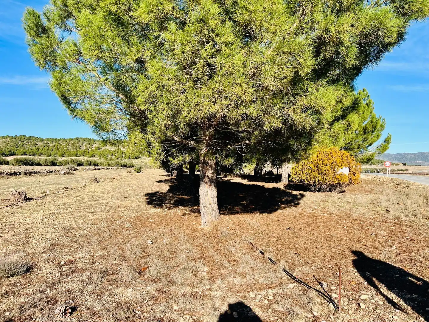 Terreny residencial en venda a Cañada, imagen 20