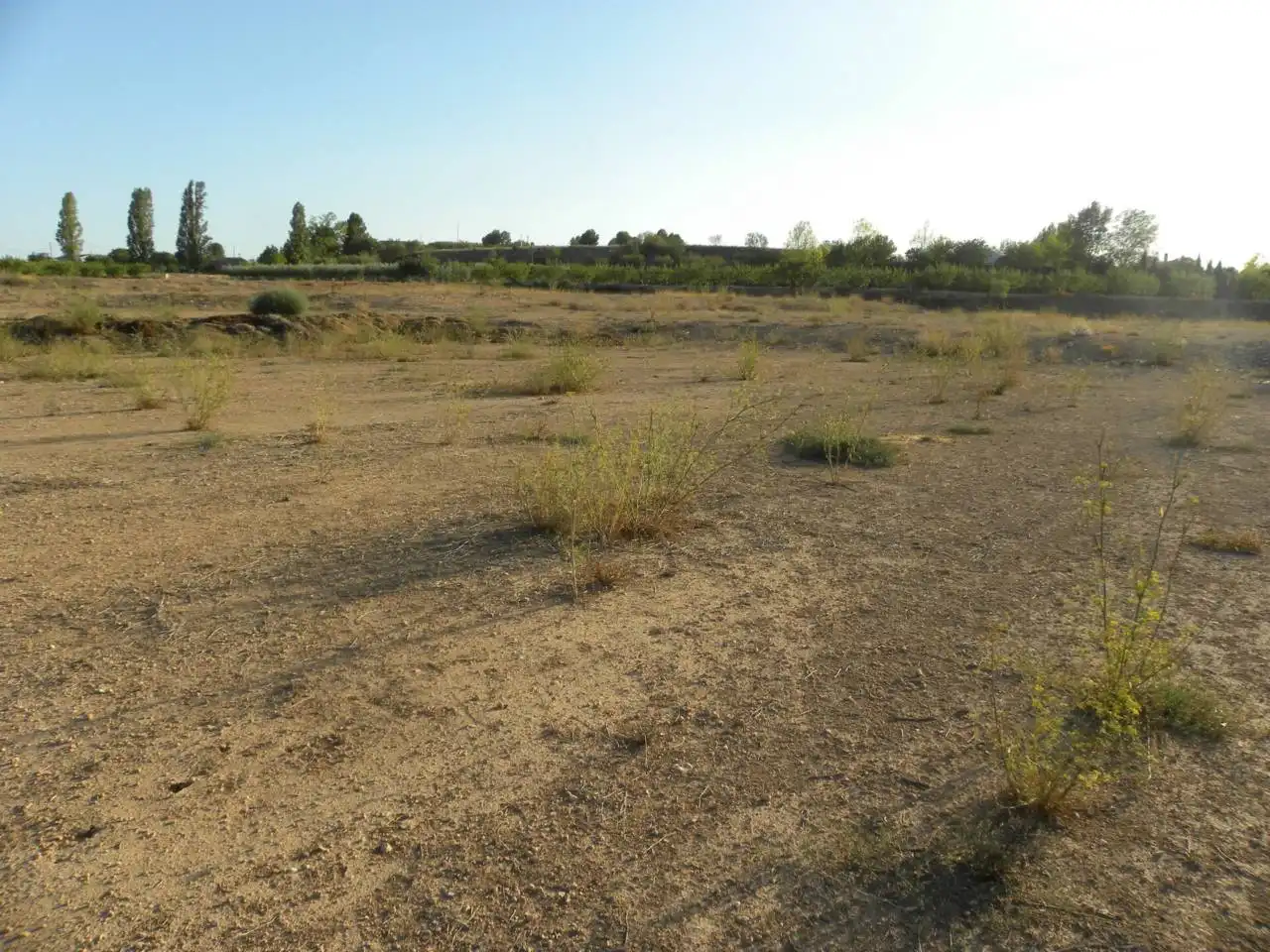 Residential land for sale in Caravaca de la Cruz, imagen 15