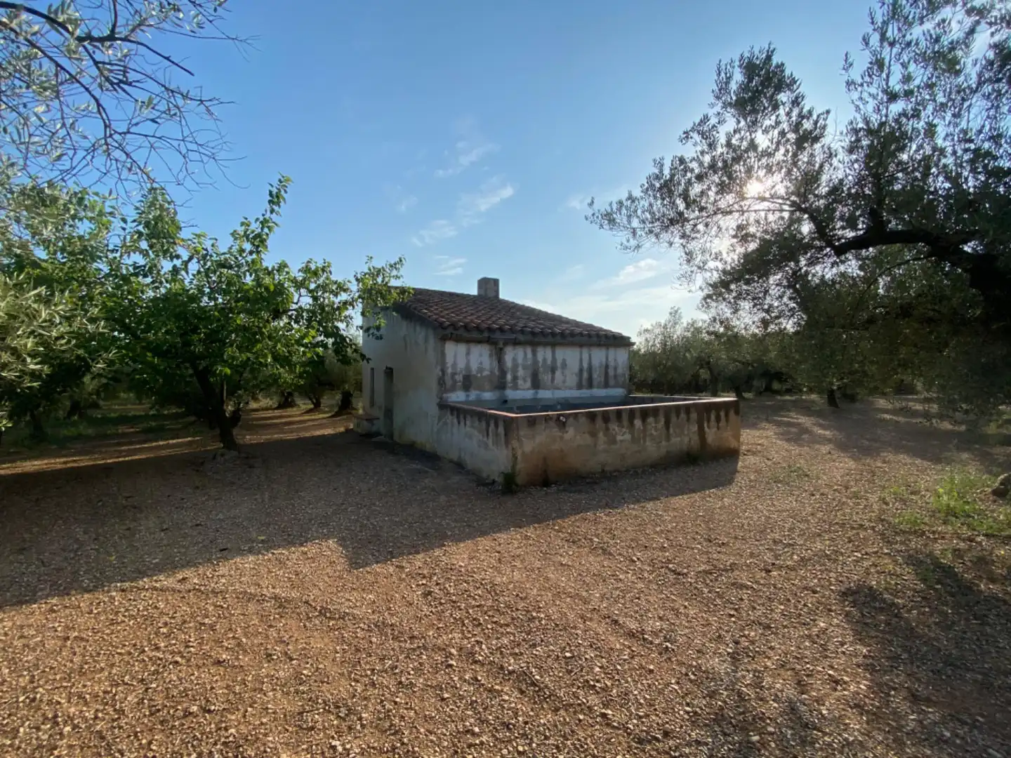 Casa rústica con piscina en venta en Ulldecona, imagen 3