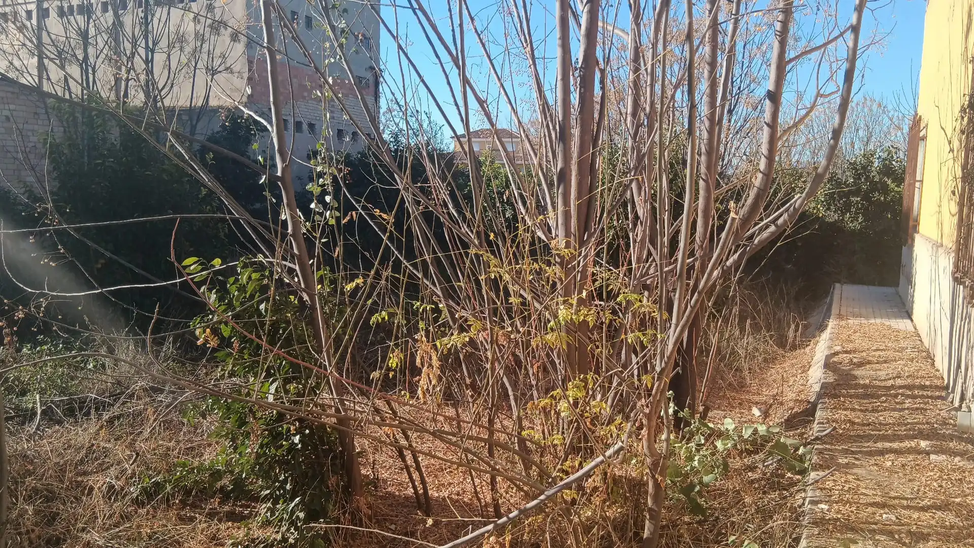 Houses for sale in Murcia  with Private garden, Terrace and Storage room