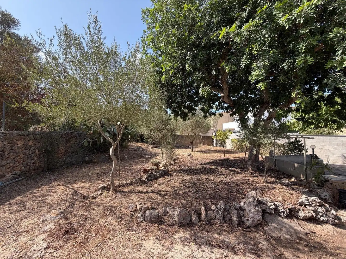 Terreny residencial en venda a Pòrtol, imagen 21