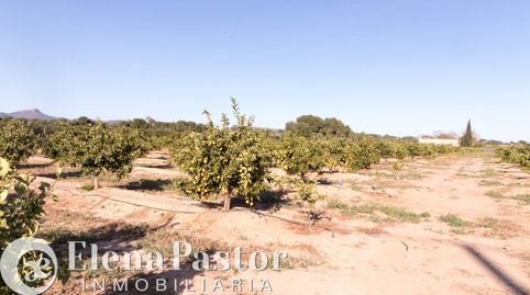 Foto 4 de Terreno en venta en Urbanizacion Pla de Andanes, Los Pinares - La Masia, Bétera