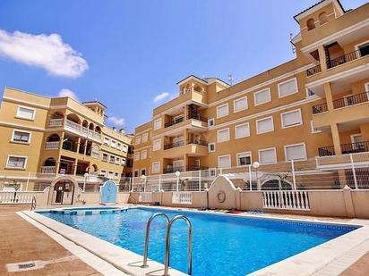 Piscina de Casa o xalet en venda en Almoradí amb Terrassa