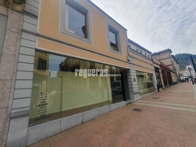 Local comercial en Alquiler en San Antonio en Pravia
