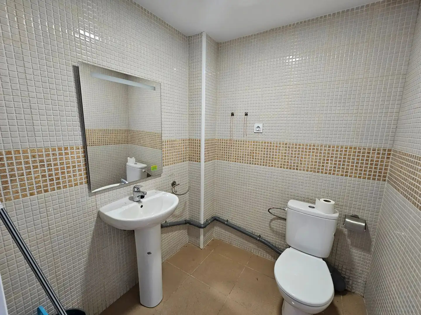Bany de Local de lloguer en Sant Vicenç Dels Horts