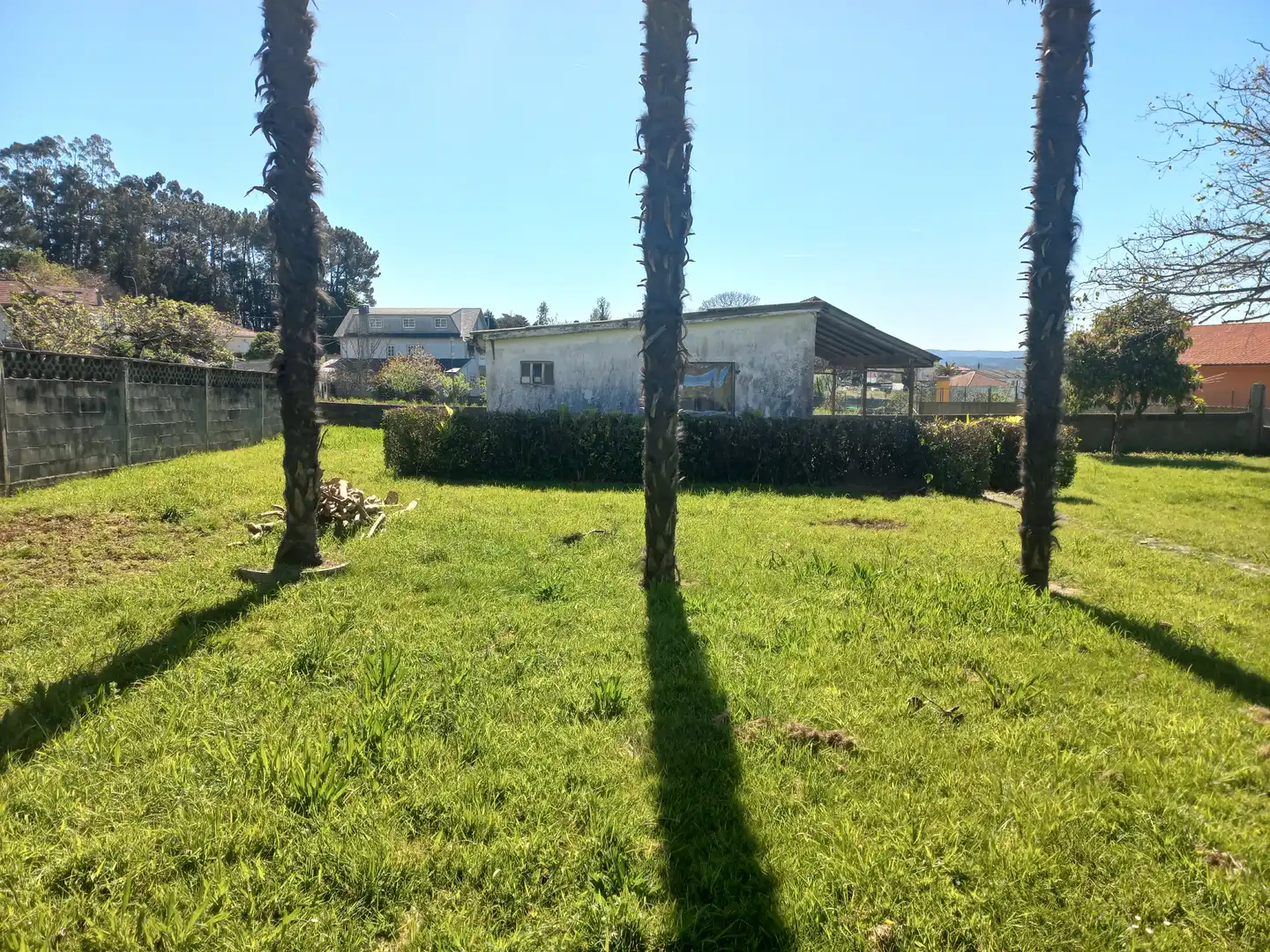 Jardín de Casa o chalet en venta en Bergondo con Jardín privado