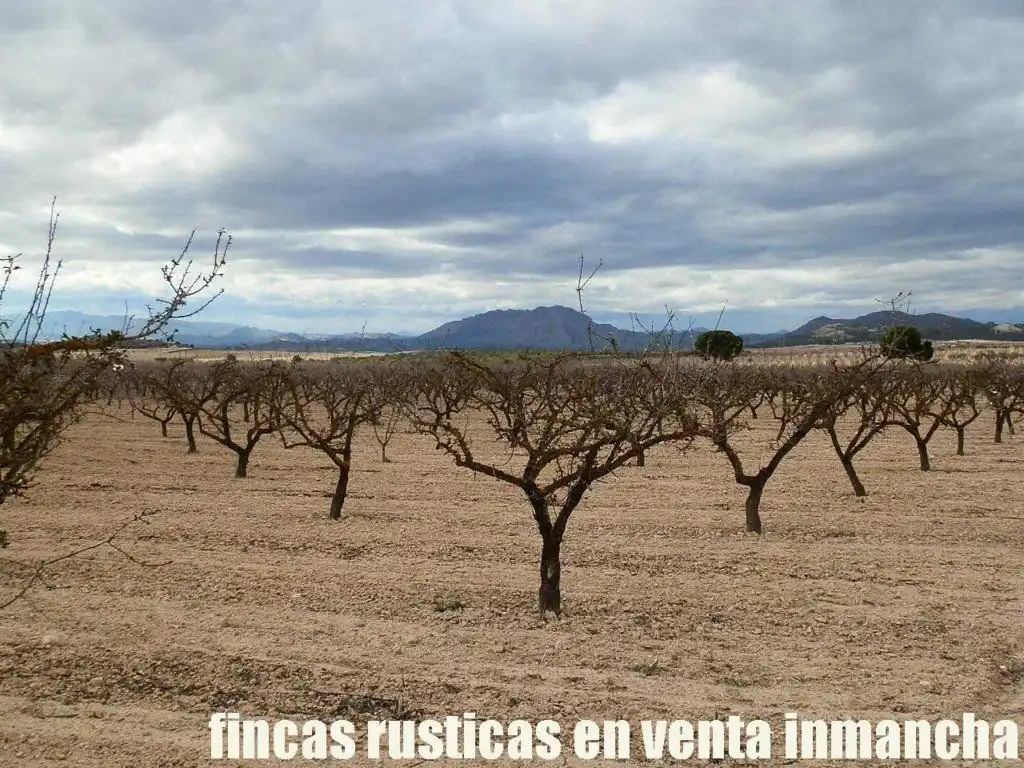 Rustikales Grundstück zum Verkauf in Cieza, imagen 9