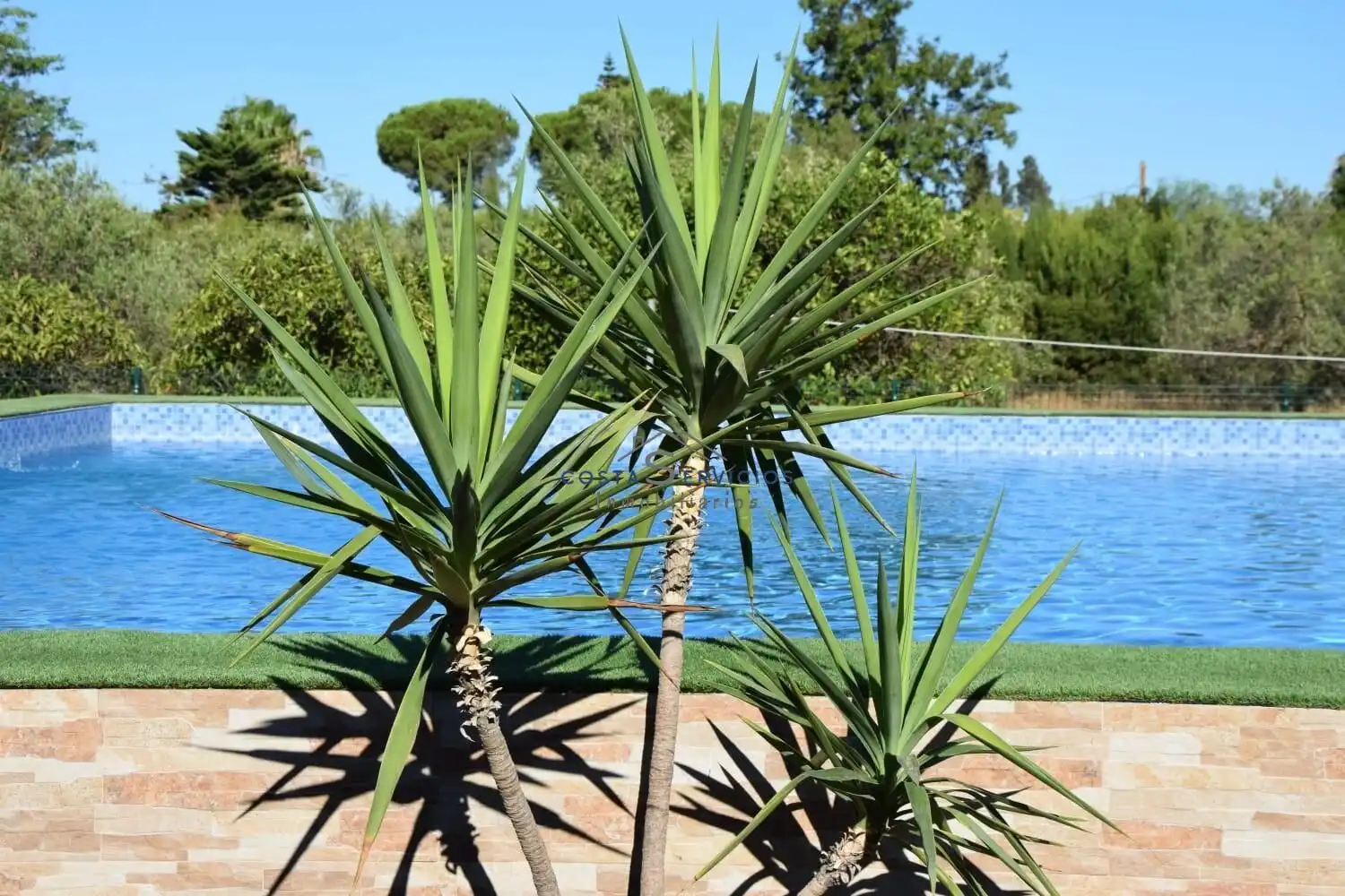 Jardí de Finca rústica en venda en Gibraleón amb Aire condicionat, Terrassa i Piscina