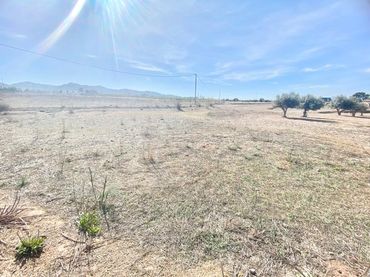 Terreny residencial en venda a Pedanías Sur