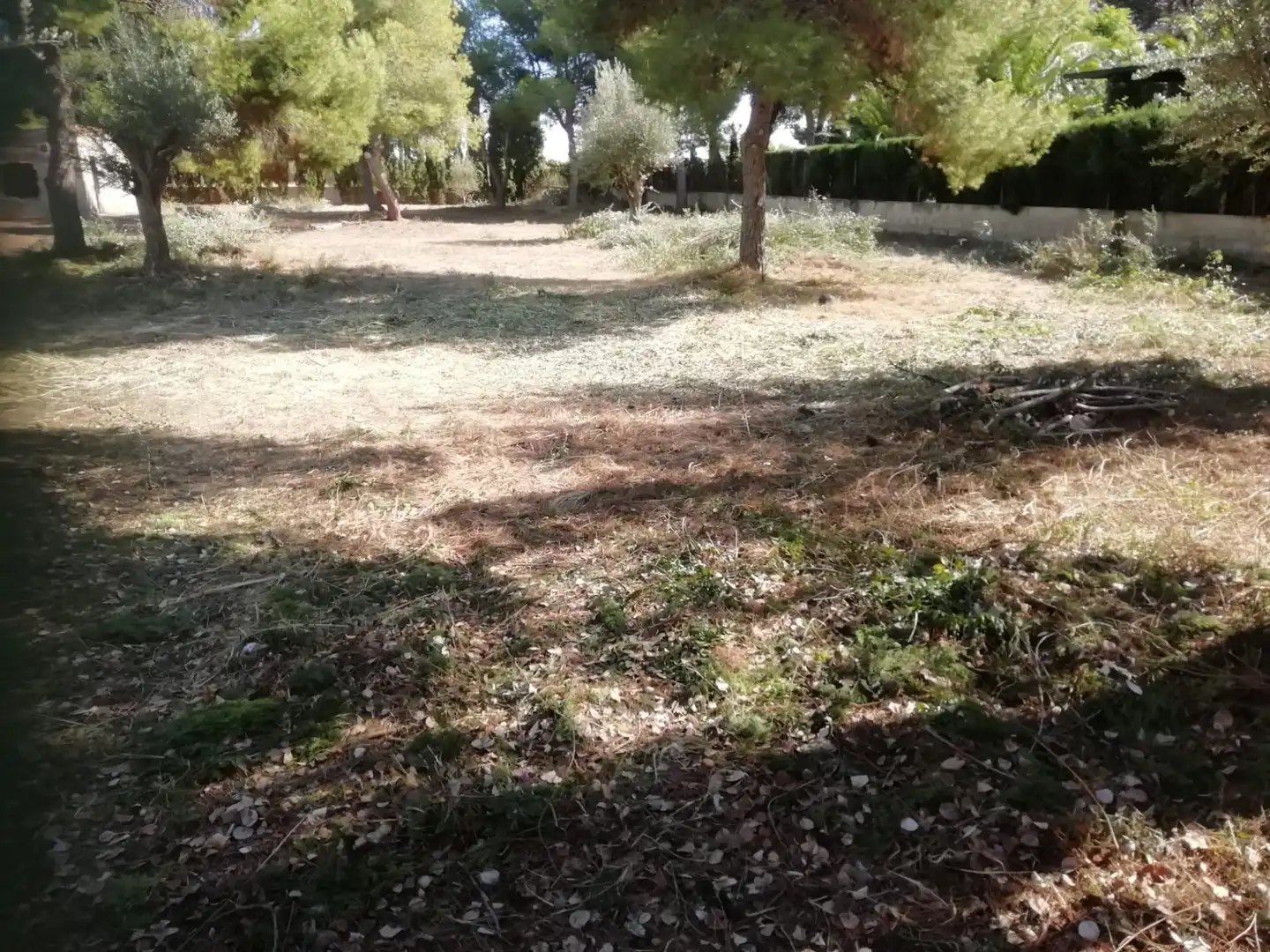 Terreno residenziale in vendita a Calle MESTRAL, imagen 3