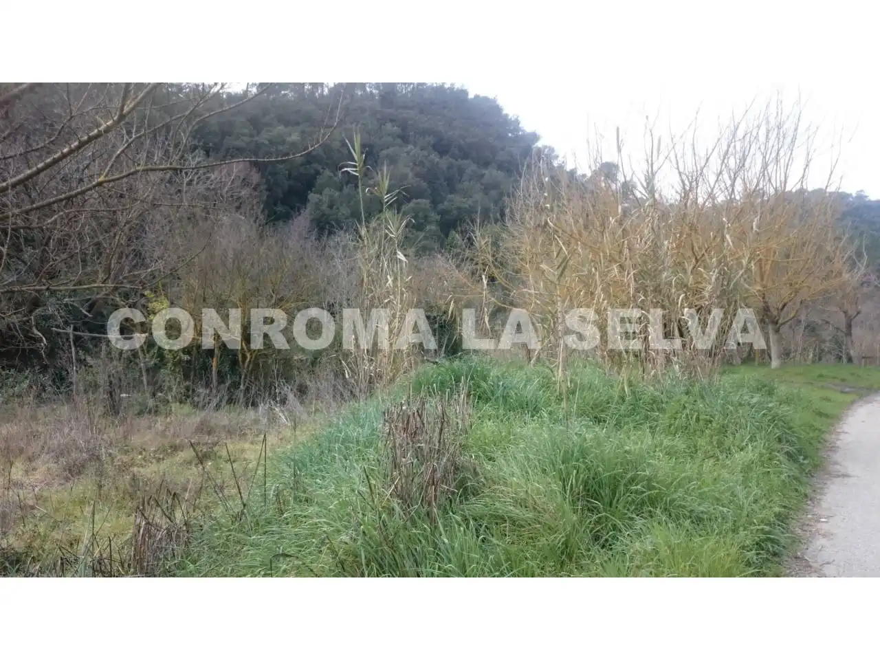 Casa rústica amb jardí en venda a Tordera pueblo, imagen 4