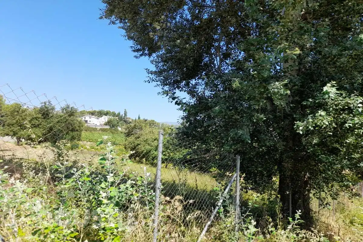 Terreny residencial en venda a Pla de Cavalls, Carrer Golf ., imagen 19