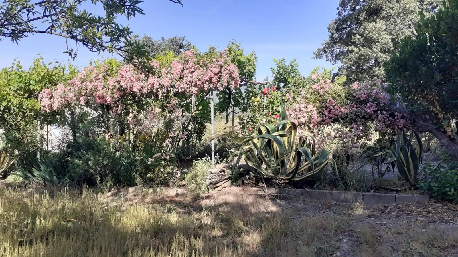 Land for sale in Jarandilla de la Vera
