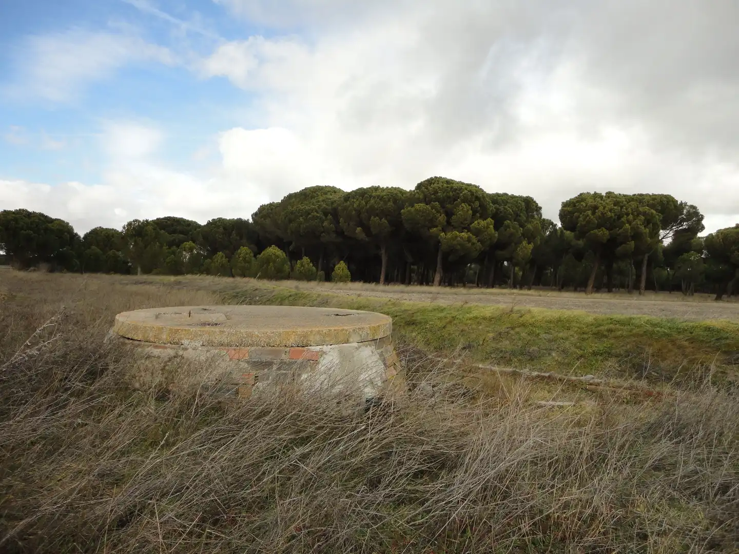 Land for sale in Alcazarén