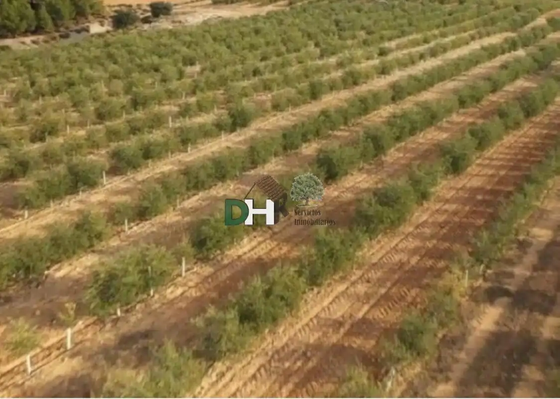 Terrenos y solares en venta en Los Cigarrales - La Bastida, imagen 3