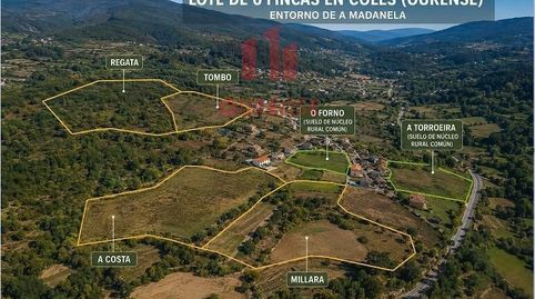 LOTE DE SEIS FINCAS EN EL ENTORNO DE MADANELA COLES