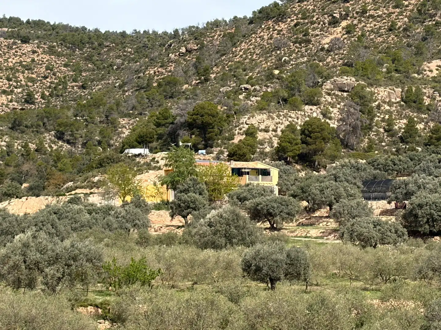 Vista exterior de Finca rústica en venta en Flix