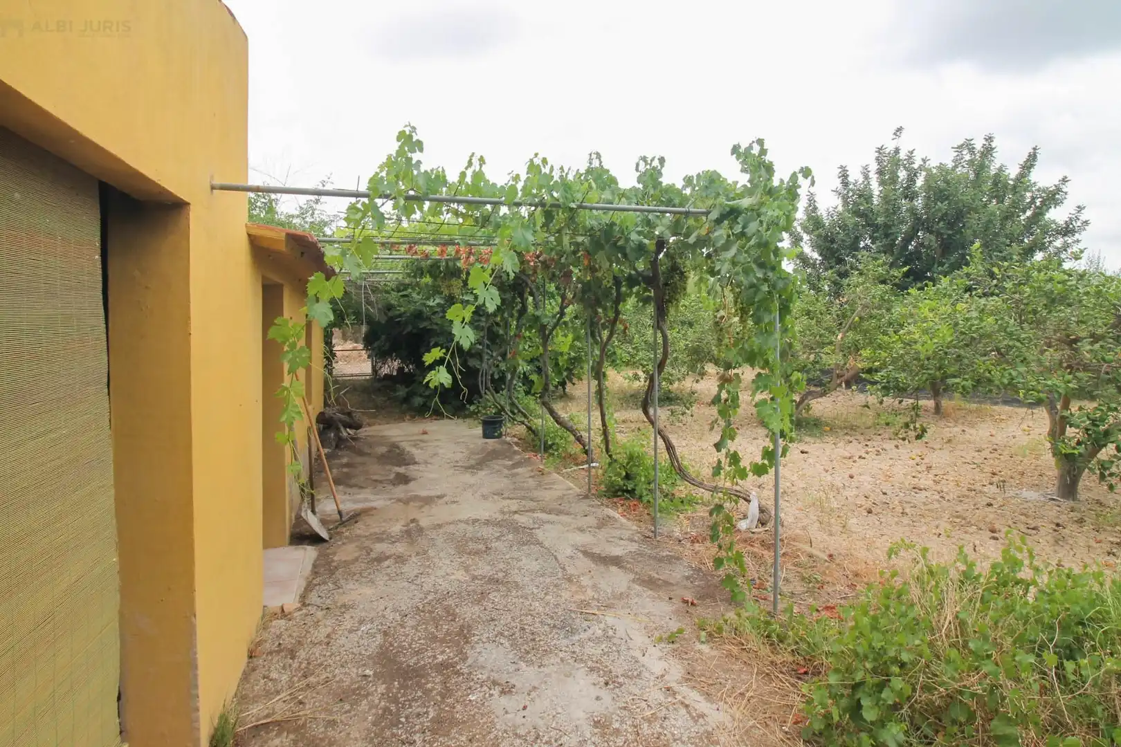 Casa amb piscina en venda a Crevillent, imagen 34