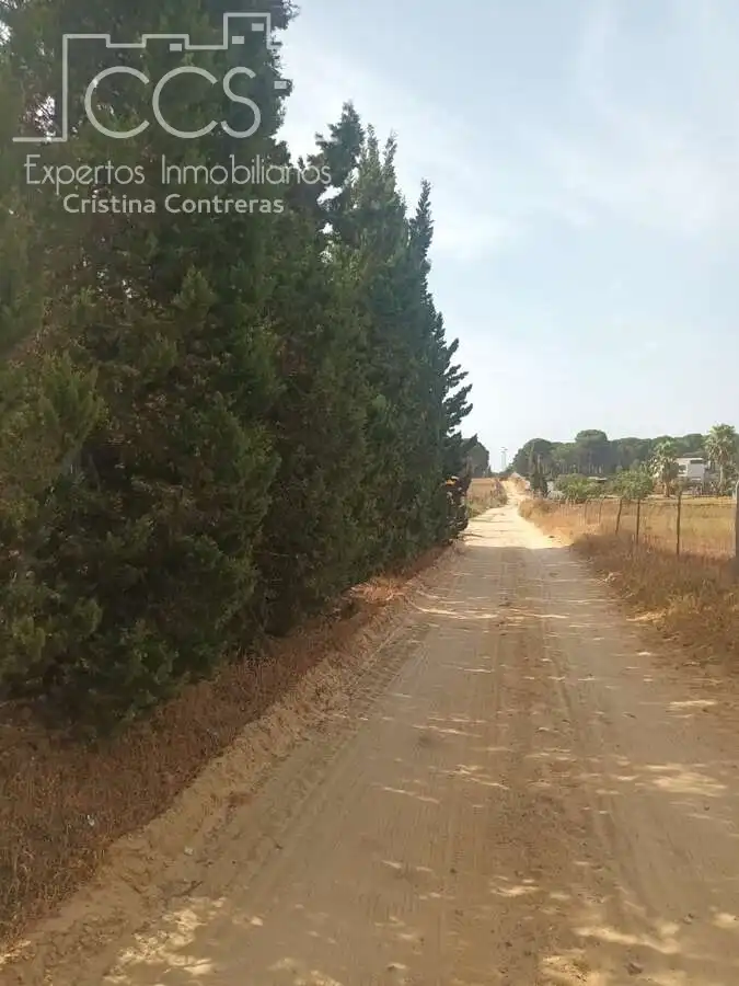 Casa rústica amb jardí en venda a Almonte ciudad, imagen 2
