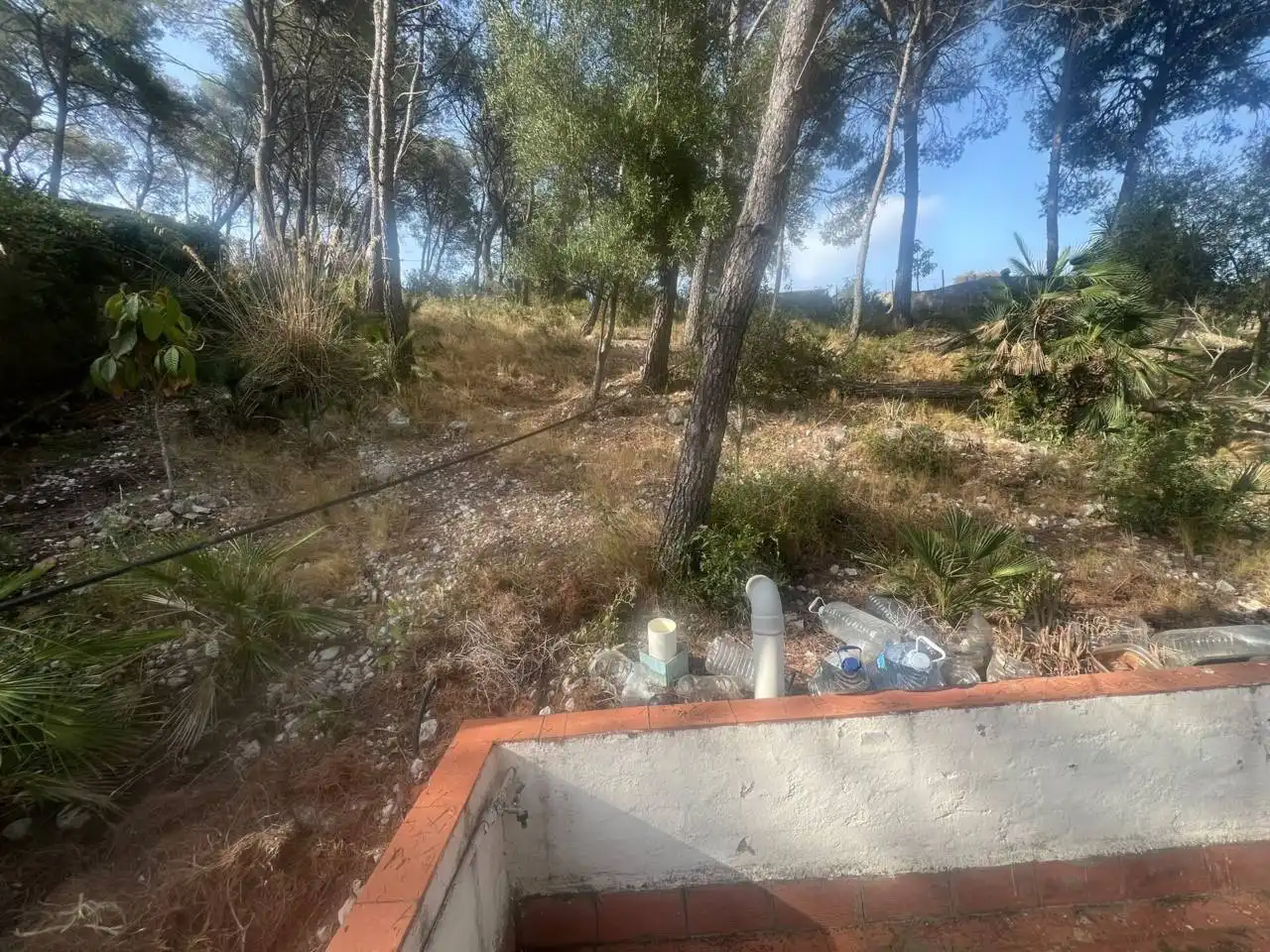 Terrain rustique à vendre à Calle JOAN MIRÓ, imagen 9