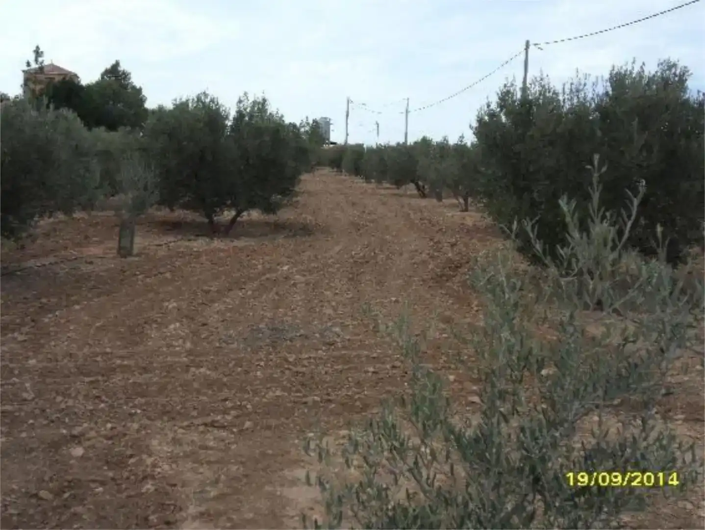 Pis en venda en Cieza amb Aire condicionat, Jardí privat i Traster